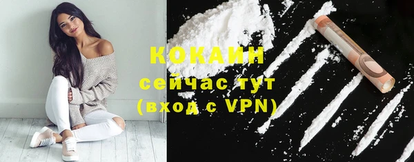 PSILOCYBIN Гусь-Хрустальный