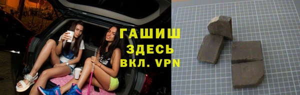 прущие грибы Гусиноозёрск