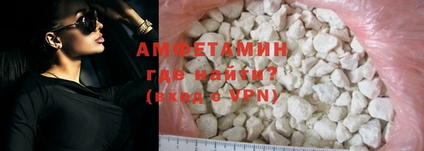 прущие грибы Гусиноозёрск