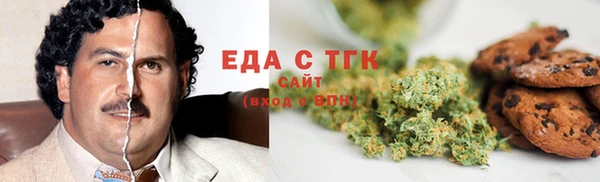 прущие грибы Гусиноозёрск