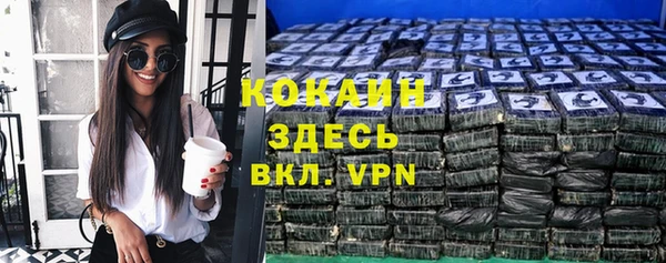 прущие грибы Гусиноозёрск