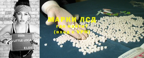 прущие грибы Гусиноозёрск