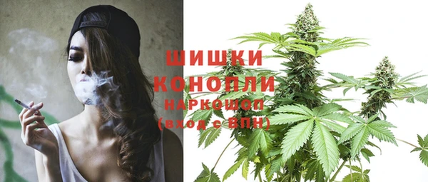 прущие грибы Гусиноозёрск