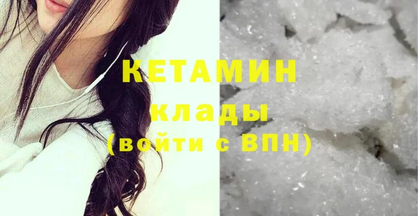 прущие грибы Гусиноозёрск