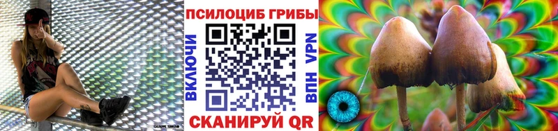 Псилоцибиновые грибы MAGIC MUSHROOMS  Купить закладки  Мезень 